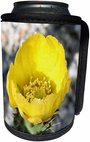 3dRose Opuntia Ficus-Indica Virág A Tüskés Körte Közel. - Lehet Hűvösebb Üveg Wrap (cc-364744-1)